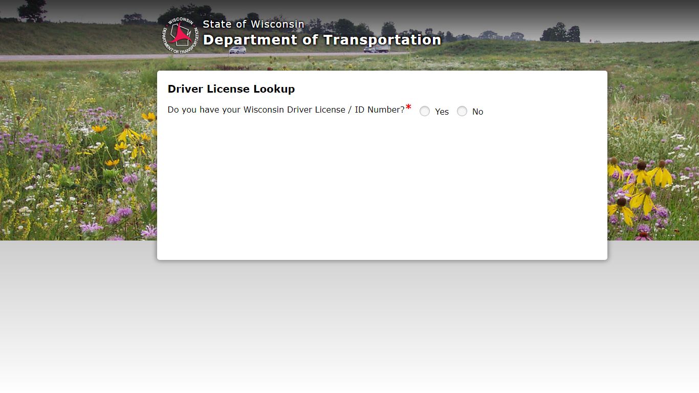 Driver License Lookup